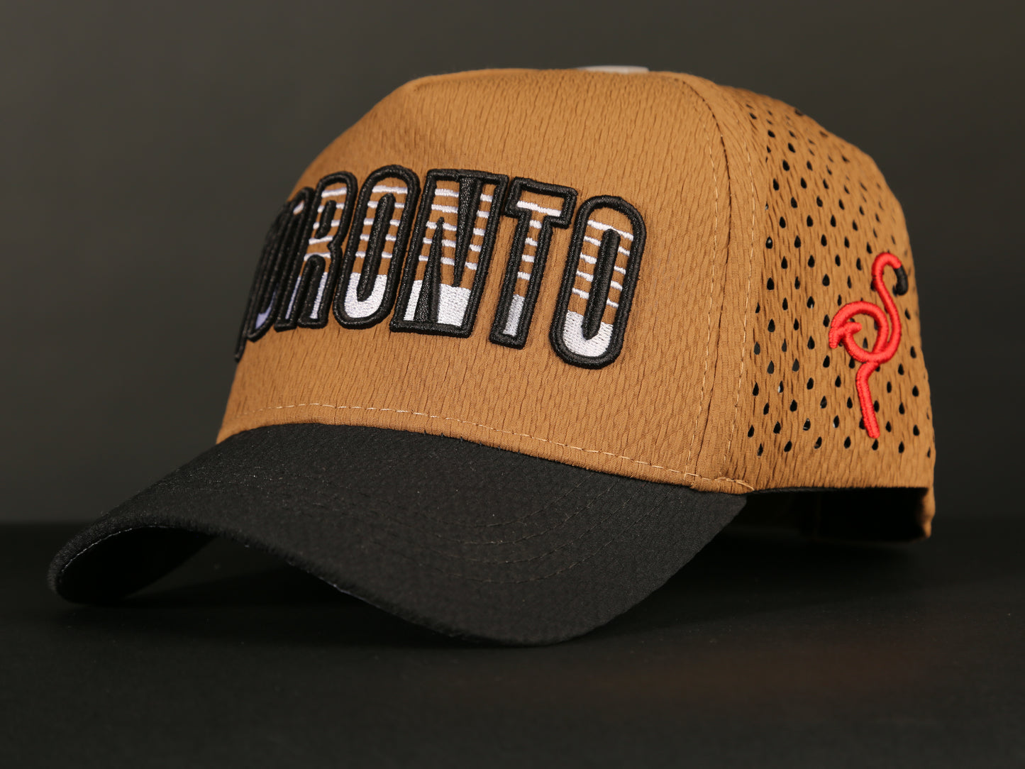 CAP TORONTO (MIRROR)
