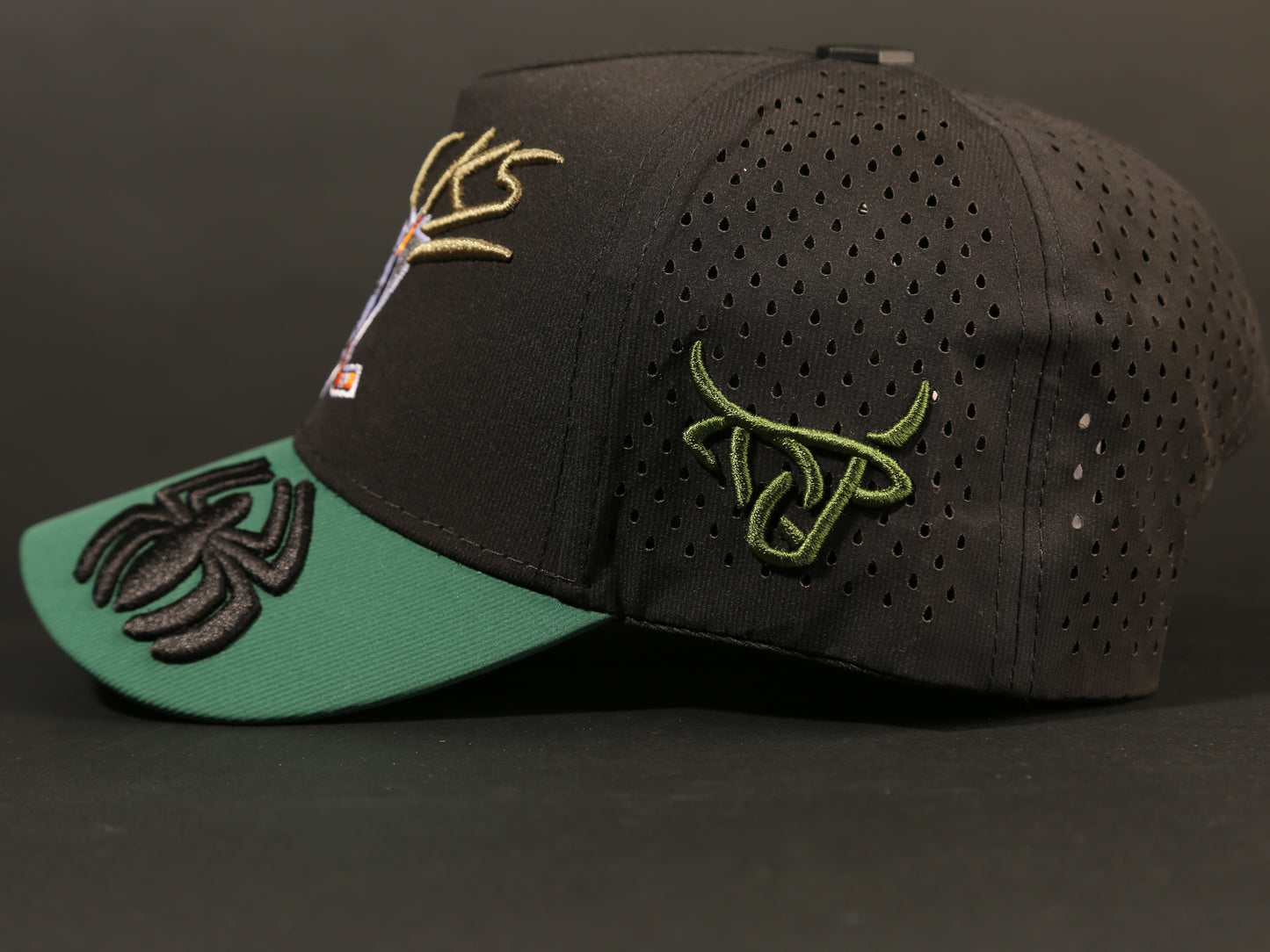 ANAHEIM DUCKS CAP