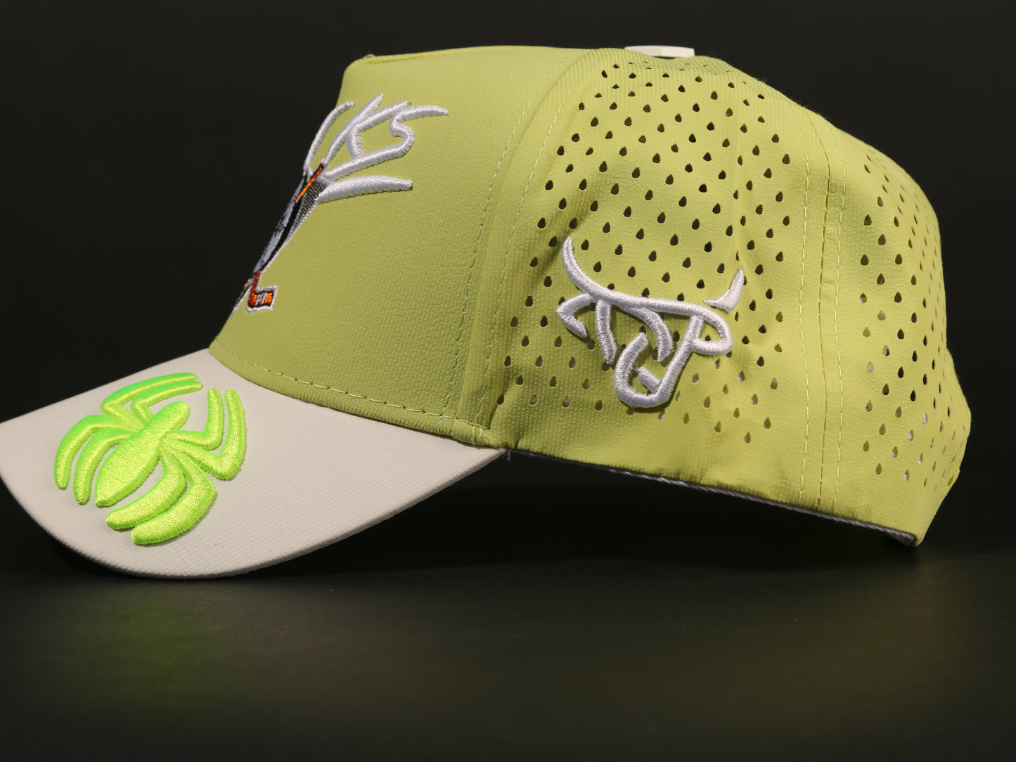 ANAHEIM DUCKS CAP