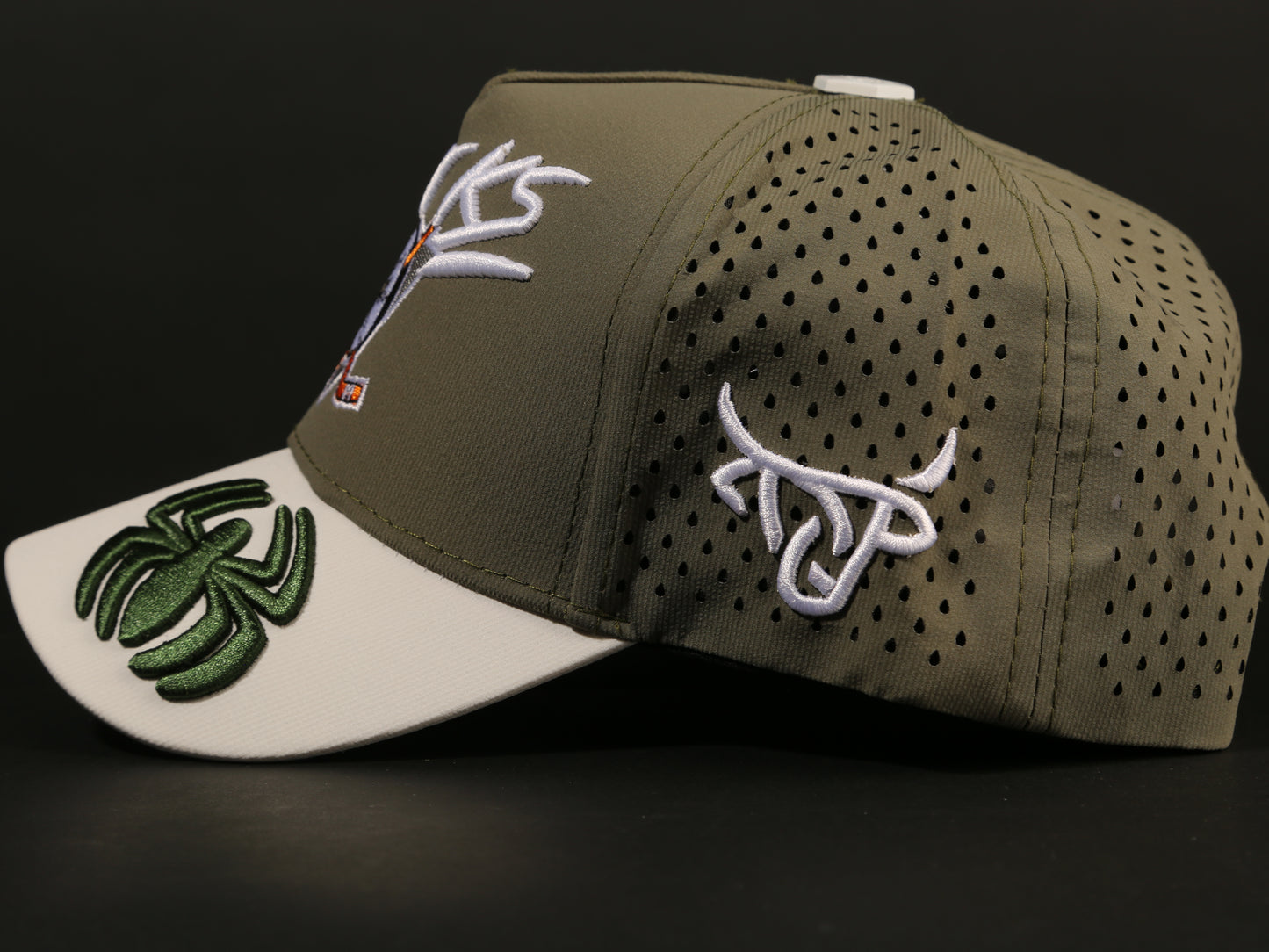 ANAHEIM DUCKS CAP