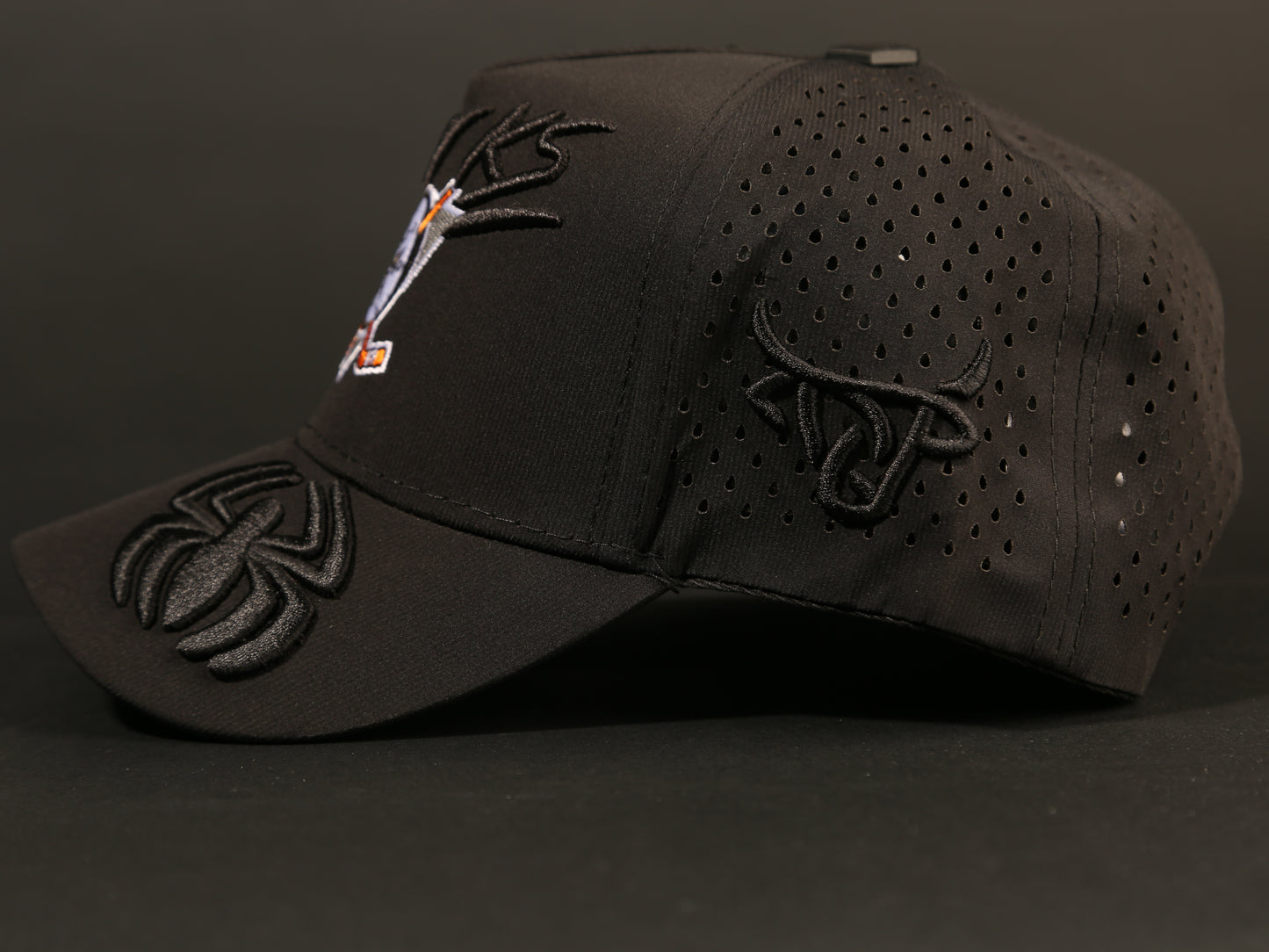 ANAHEIM DUCKS CAP