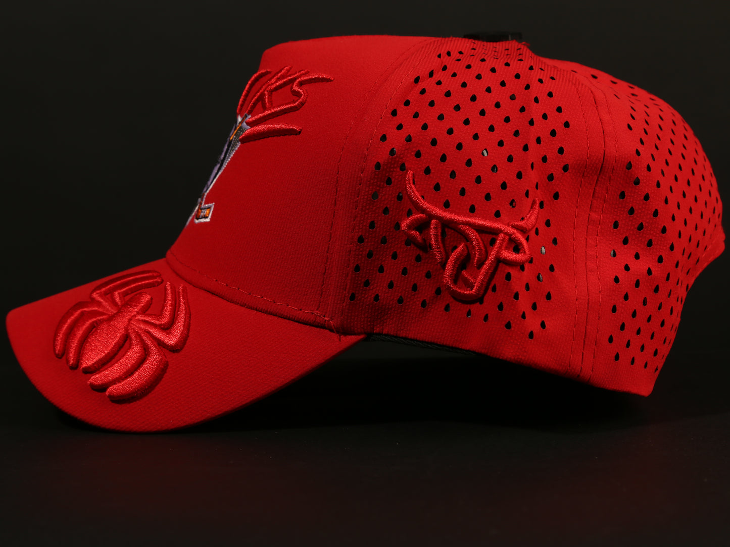 ANAHEIM DUCKS CAP