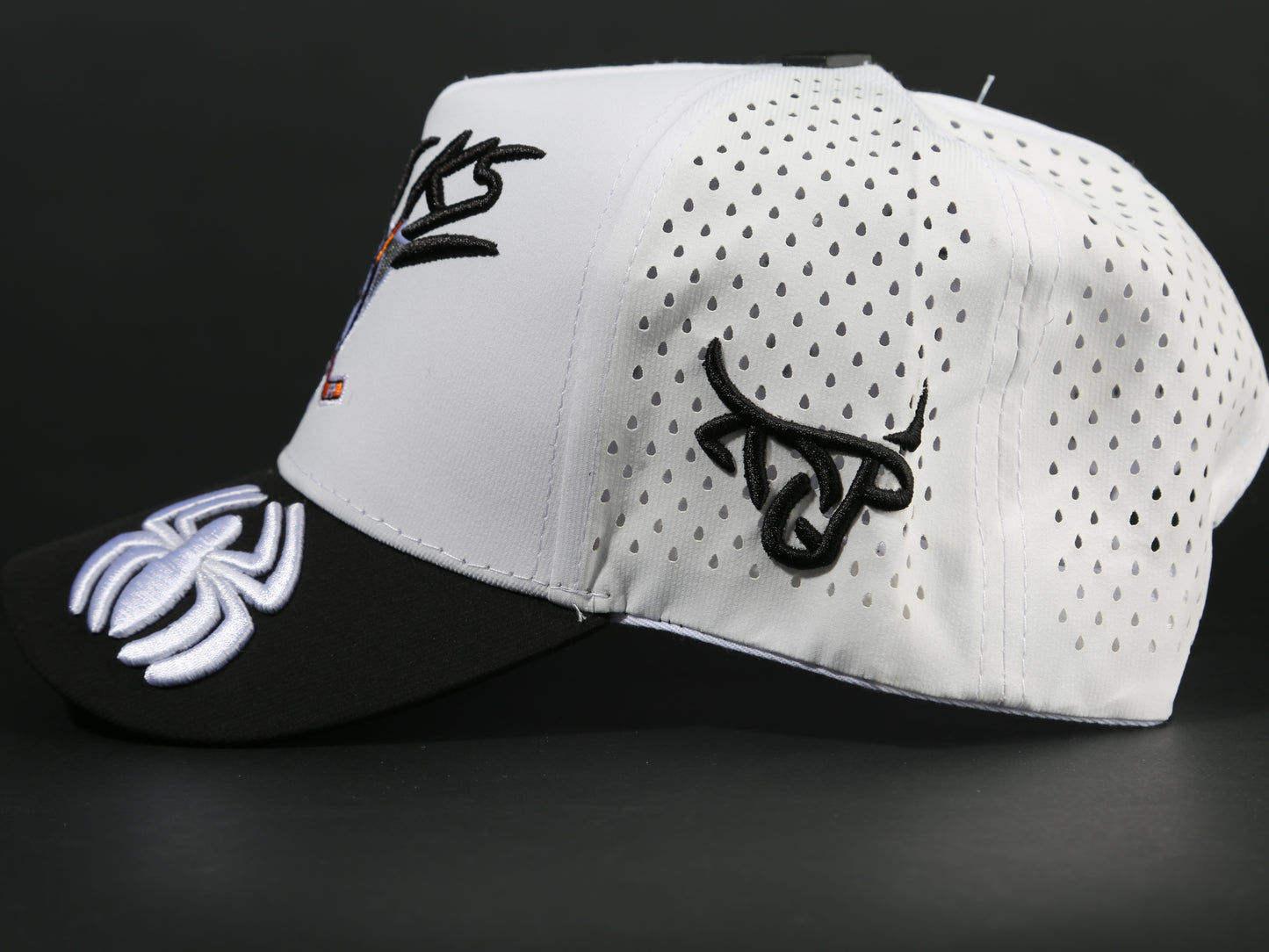 ANAHEIM DUCKS CAP