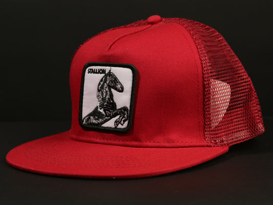 sale cap